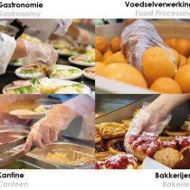 Deze ecologische gebruikshandschoen is ideaal voor voedselverwerking en gastronomie kantine bakkerijen - 264693 – 264593 – 264193 – 264093