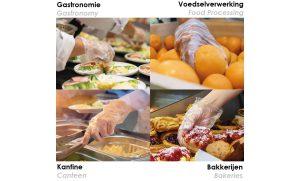 Deze ecologische gebruikshandschoen is ideaal voor voedselverwerking en gastronomie kantine bakkerijen - 264693 – 264593 – 264193 – 264093