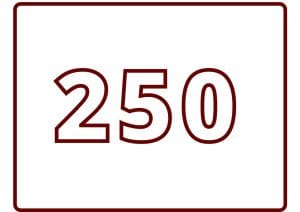 250 stuks